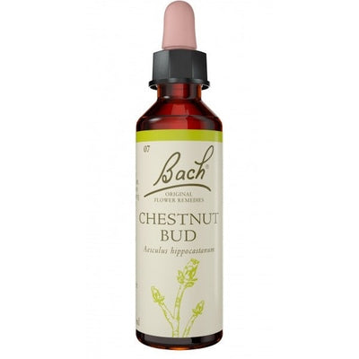 Bach Flower Chestnut Bud 20ml - The O.G Me