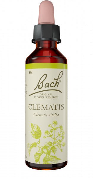 Bach Flower Clematis 20ml - The O.G Me