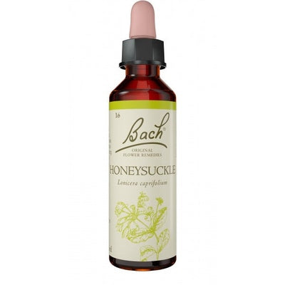 Bach Flower Honeysuckle 20ml - The O.G Me