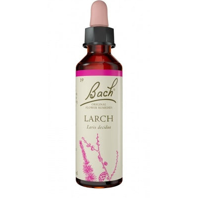 Bach Flower Larch 20ml - The O.G Me