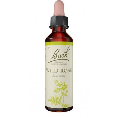 Bach Flower Wild Rose 20ml - The O.G Me